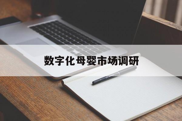江门市数字化母婴市场调研(数字化母婴市场调研报告)